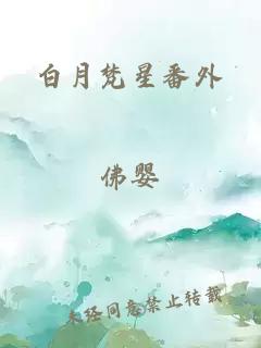 白月梵星番外